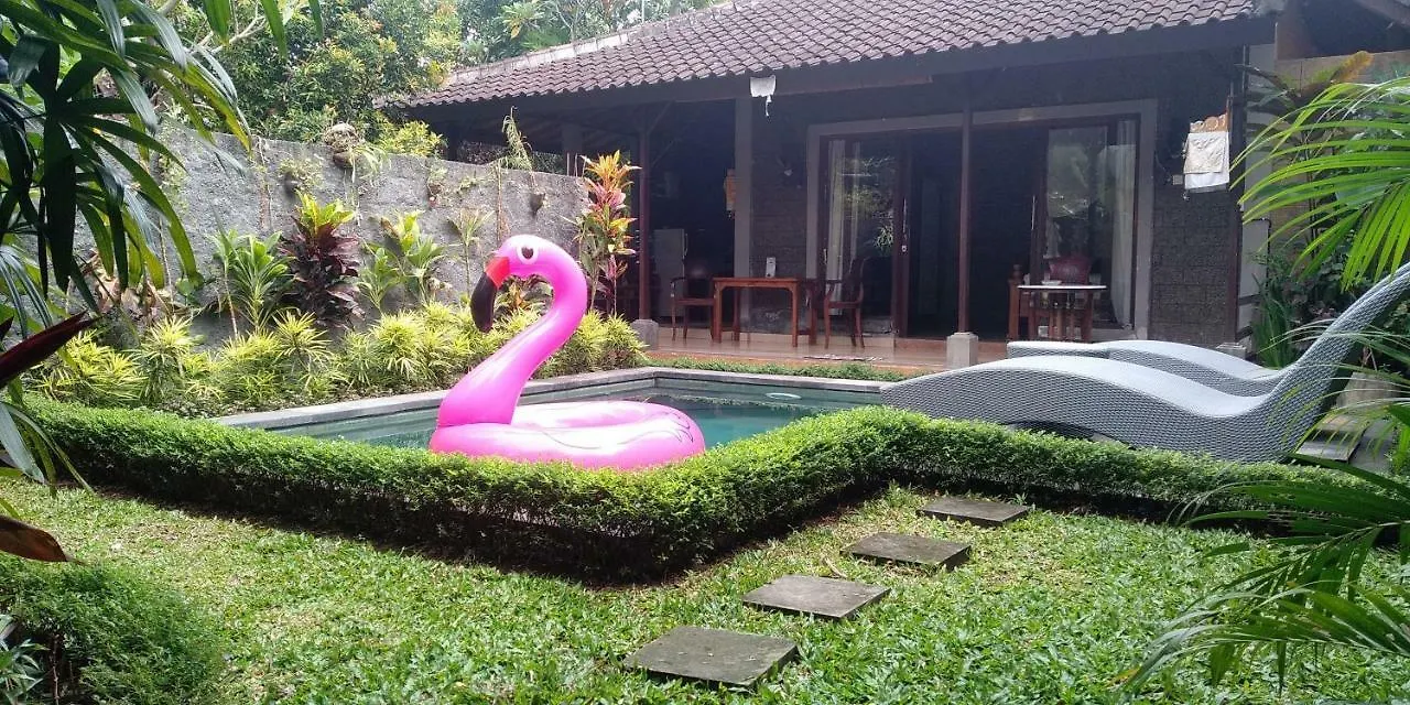 Dedik House Villa Ubud 0*,