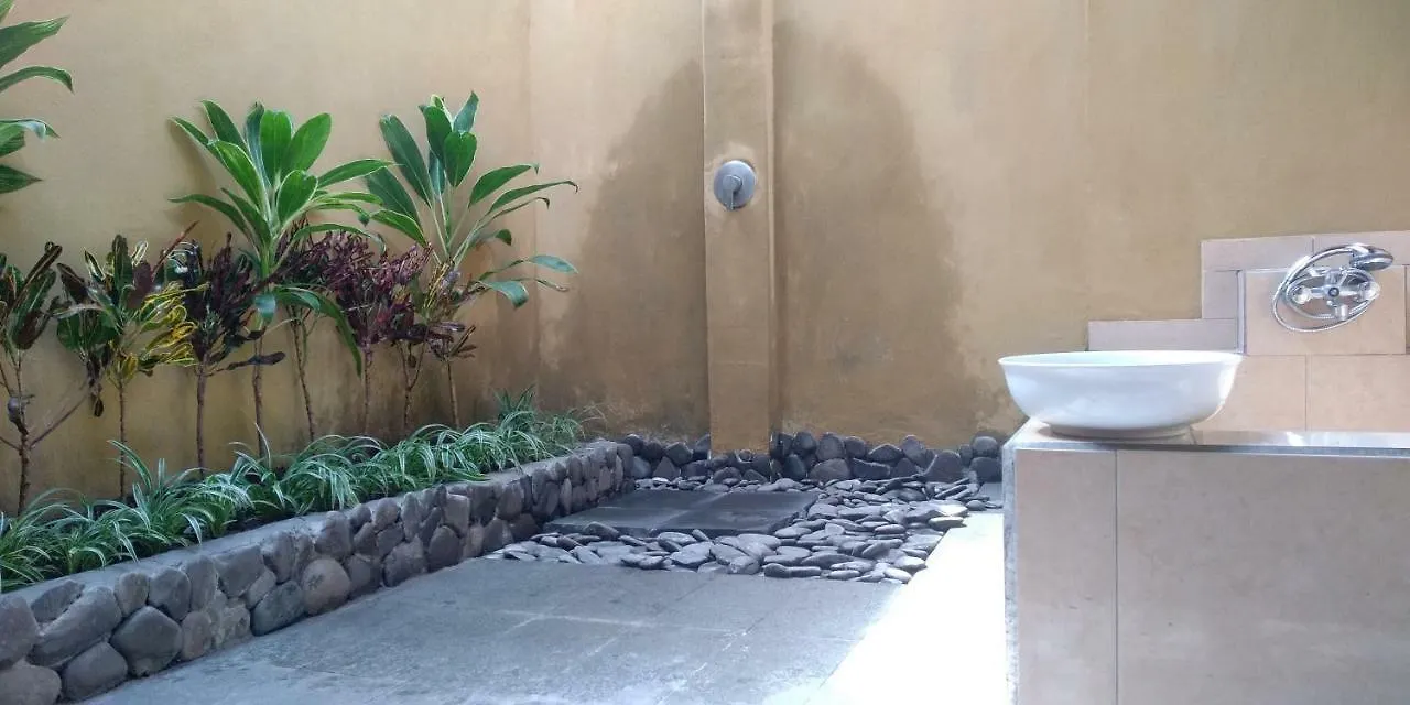 Dedik House Villa Ubud