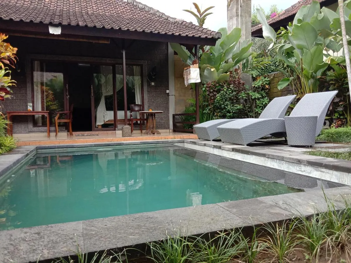Dedik House Villa Ubud